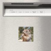 Aimant Amusant Puffy bizarre fumeur de cigare d'écureuil (In Situ (Lave-vaisselle))