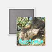 Aimant Amusante Australie koala design d'aimant (Recto/Verso)