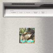 Aimant Amusante Australie koala design d'aimant (In Situ (Lave-vaisselle))