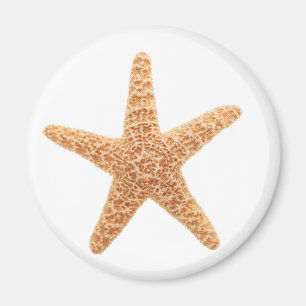 Aimant amusement d'étoiles de mer