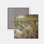 Aimant Anaconda vert (Recto/Verso)