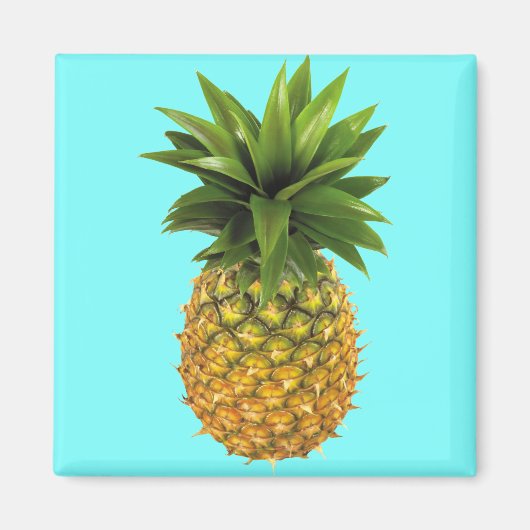 Aimant Ananas (Devant)
