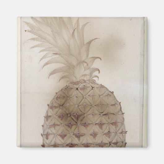 Aimant Ananas, (Devant)
