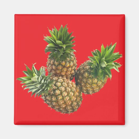 Aimant Ananas (Devant)