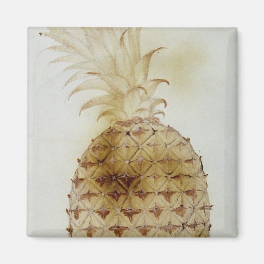 Aimant Ananas (Devant)