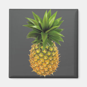 Aimant Ananas