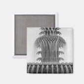 Aimant Ananas apaisant (Recto/Verso)