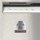 Aimant Ananas apaisant (In Situ (Lave-vaisselle))