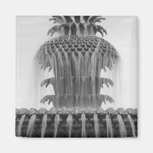 Aimant Ananas apaisant