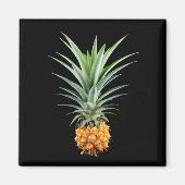 Aimant Ananas avec grande coiffure sur arrière - plan noi (Devant)