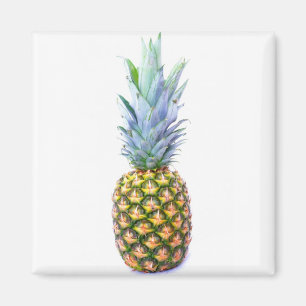 Aimant Ananas Fruit Plage Dessert Coloré Tropical