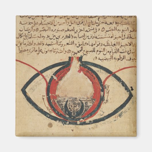 Aimant Anatomie de l'oeil, d'un livre sur les maladies oc (Devant)