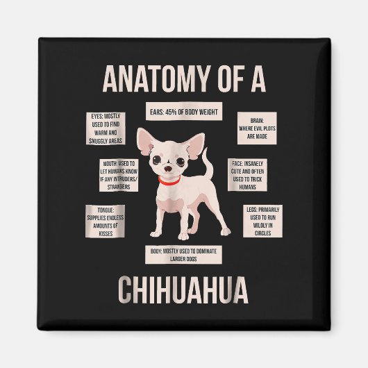 Aimant Anatomie Drôle Du Cadeau Du Chihuahua (Devant)