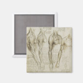 Aimant Anatomie du bras humain de Da Vinci (Recto/Verso)