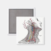 Aimant Anatomie du cou (Recto/Verso)