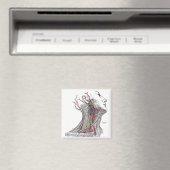 Aimant Anatomie du cou (In Situ (Lave-vaisselle))