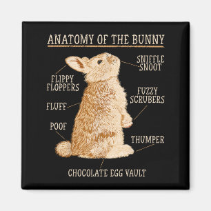 Aimant Anatomie du lapin amateur de lapin propriétaire d'