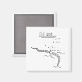 Aimant anatomie du ver de terre (Recto/Verso)