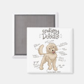 Aimant Anatomie d'un chien de chien (Recto/Verso)