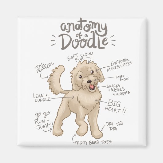 Aimant Anatomie d'un chien de chien (Devant)