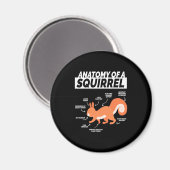 Aimant Anatomie D'Un Écureuil (Recto/Verso)