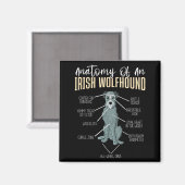 Aimant Anatomie d'un Irish Wolfhound (Recto/Verso)