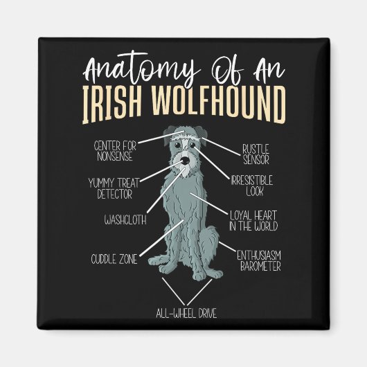 Aimant Anatomie d'un Irish Wolfhound (Devant)