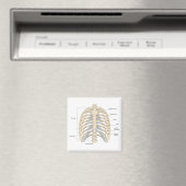 Aimant Anatomie thoracique humaine (In Situ (Lave-vaisselle))