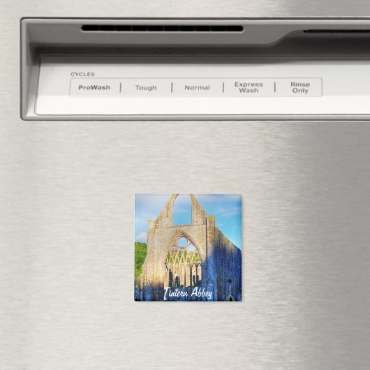 Aimant Ancienne abbaye de Tintern, monastère cistercien,  (In Situ (Lave-vaisselle))