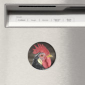 Aimant Ancona Roo (In Situ (Lave-vaisselle))