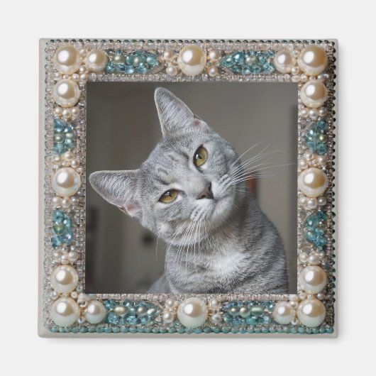 Aimant Ancre de mémoire de chat gris (Devant)