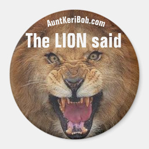 Aimant Andi Le LION a dit :