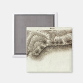 Aimant Andorre (Recto/Verso)