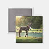 Aimant Âne, Asinus, Veste, Mule, Burro, WildAss (Recto/Verso)