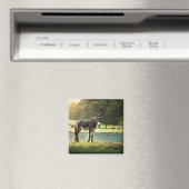 Aimant Âne, Asinus, Veste, Mule, Burro, WildAss (In Situ (Lave-vaisselle))