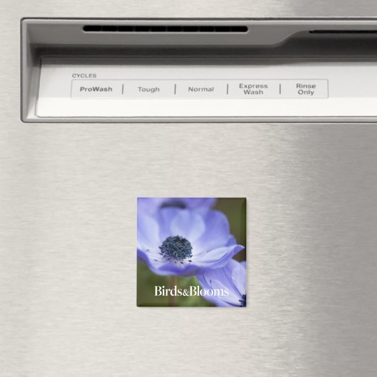 Aimant Anémon bleu (In Situ (Lave-vaisselle))