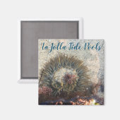 Aimant Anéone de la piscine La Jolla Tide (Recto/Verso)