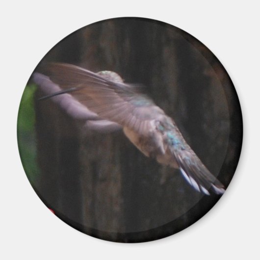 Aimant Ange (Devant)