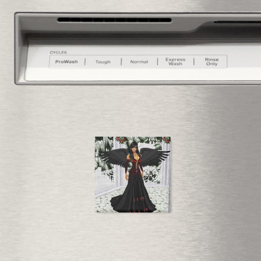 Aimant Angel De L'Aimant Noir (In Situ (Lave-vaisselle))