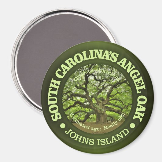 Aimant Angel Oak (Recto/Verso)