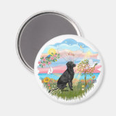 Aimant Angel Star - Black Lab (Recto/Verso)