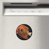 Aimant AngelFlamme (In Situ (Lave-vaisselle))