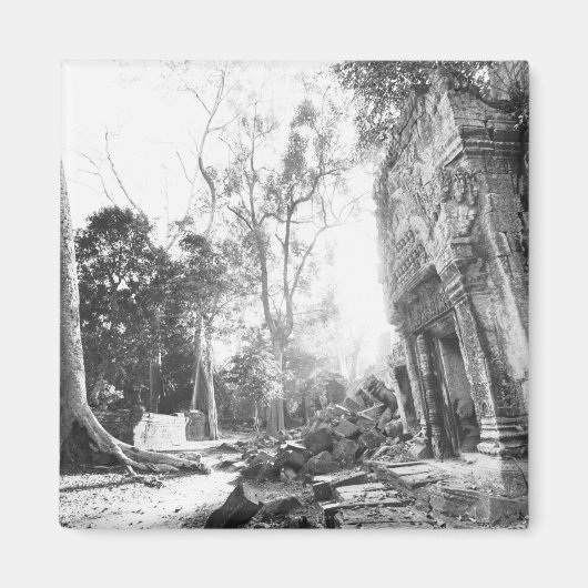 Aimant Angkor Cambodge, Détails Ta Prohm (Devant)