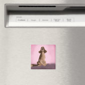 Aimant Anglais Springer Spaniel (In Situ (Lave-vaisselle))