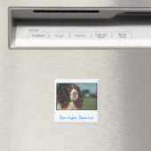 Aimant Anglais Springer Spaniel (In Situ (Lave-vaisselle))