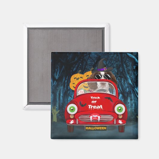 Aimant Anglais Springer Spaniel chien Voiture Effrayant H (Recto/Verso)