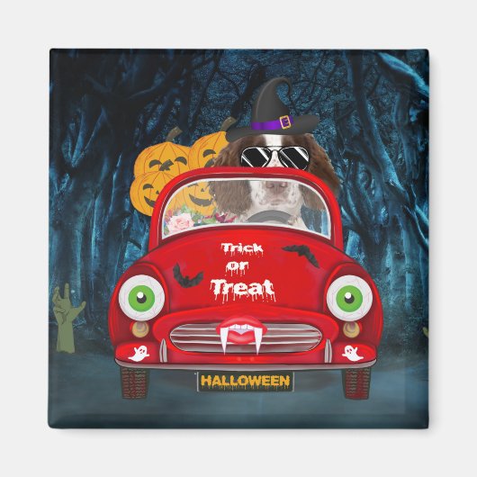 Aimant Anglais Springer Spaniel chien Voiture Effrayant H (Devant)