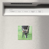 Aimant Angola Sable Antelope (In Situ (Lave-vaisselle))