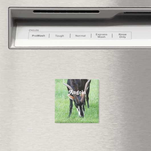 Aimant Angola Sable Antelope (In Situ (Lave-vaisselle))