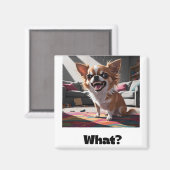 Aimant Angry chihuahua (Recto/Verso)